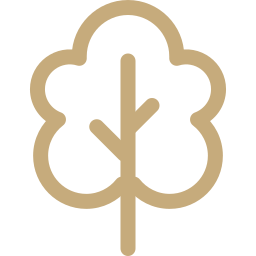type